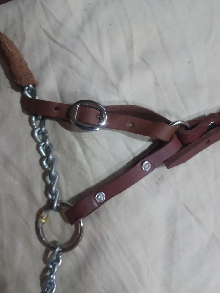 Natural Leather Halter