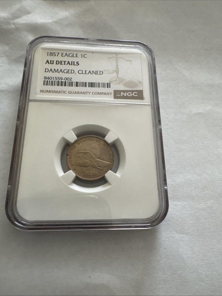 1857 flying eagle cent ngc Almost Uncirculated