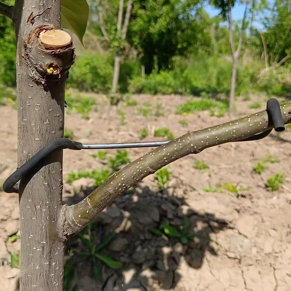 "Fruit Tree Limb Spreader 20pcs 7"" Branch Puller Plastic Hose Wrapped Wire"