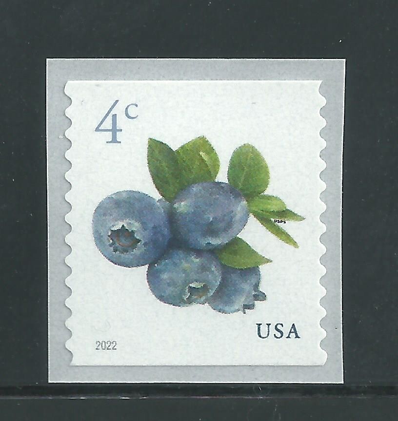 US Scott # 5653 Blueberries Mint NH Coil Single
