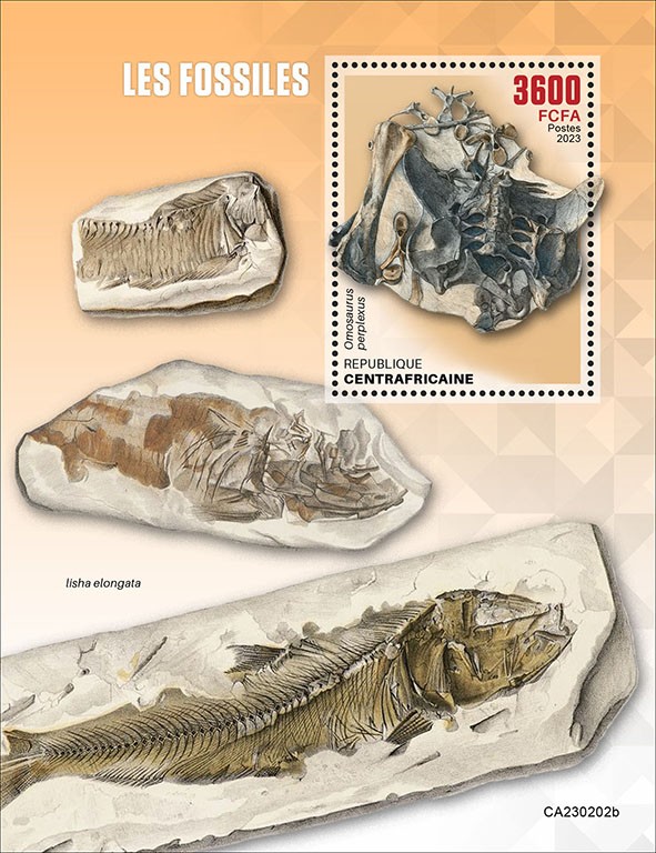 Fossils