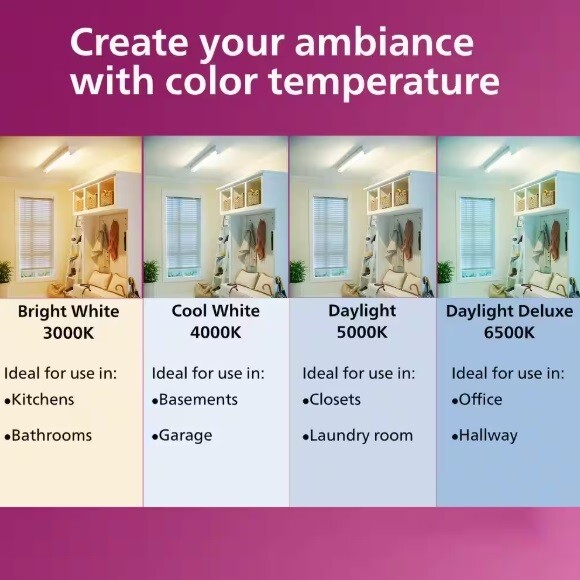 Philips 40-Watt Equivalent A19 Non-Dimmable E26 LED Bulb EyeComfort 5000K 4-Pk