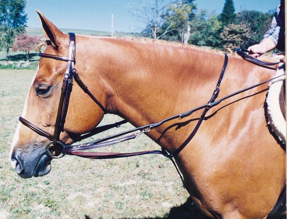 Tory Leather German Martingale