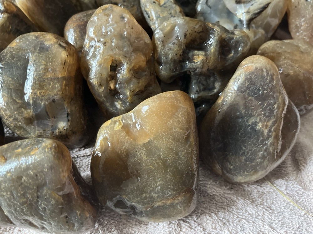 27 Lbs. Rough Montana Agate (46)