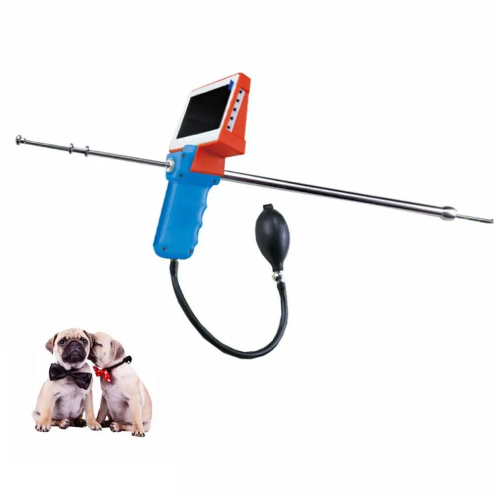 Professional Visual Insemination Gun Artificial Insemination Tools for Dogs