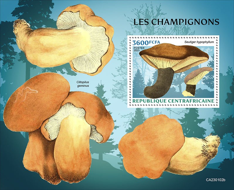 Mushrooms