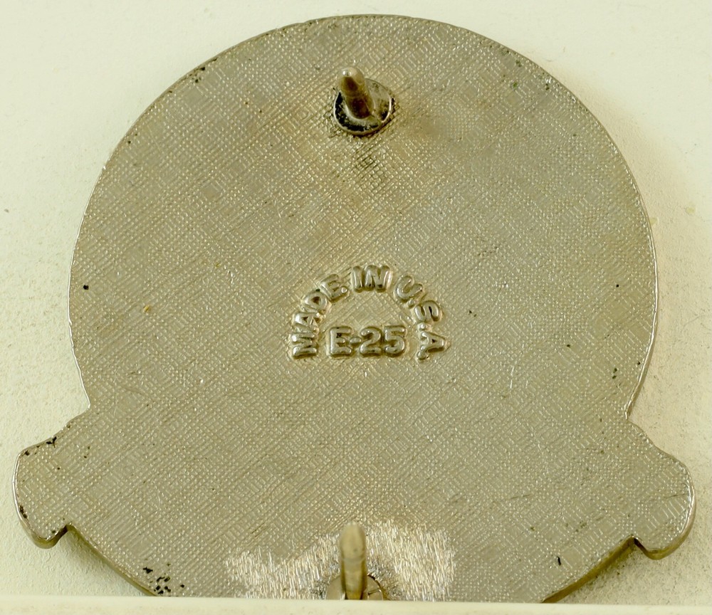 128th Combat Support Hospital Crest DI/DUI CB