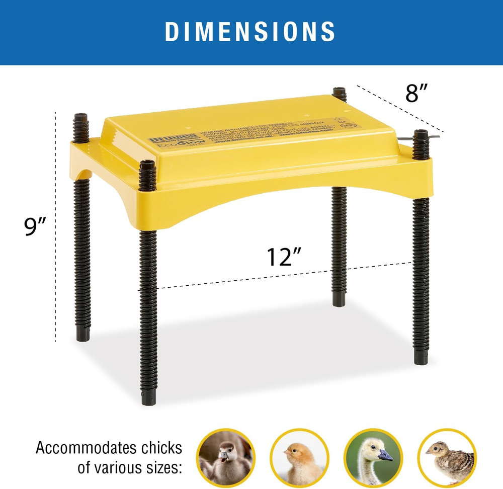 Ecoglow Safety 600 Chick or Duckling Brooder, Adjustable Height & Angle Brooder
