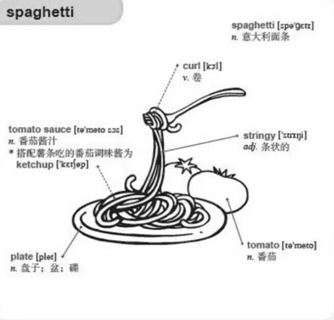 好快!10天背完3000英语单词小学英语单词大全英语单词记背神器词汇大全小学初中高中单词英语词汇速记大全分类书籍