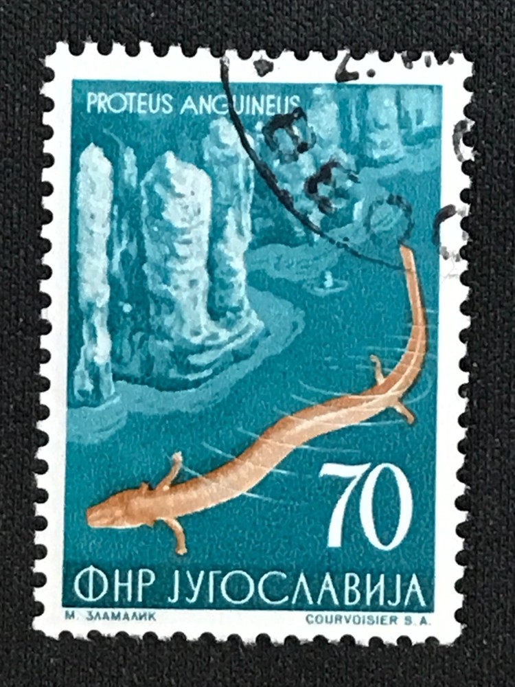 Yugoslavia SC #408 Used 1954