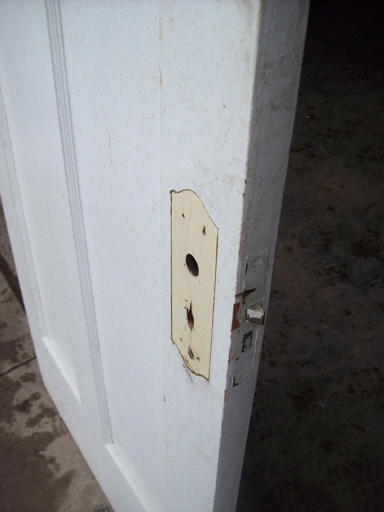 Single painted vertical panel door (D j)