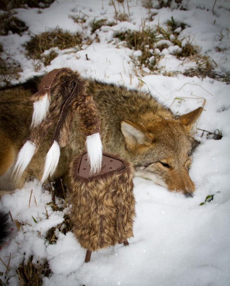 MOJO Outdoors Critter Call Decoy - Calling System for Successful Predator/Coy...