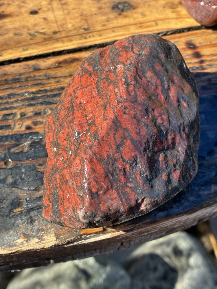 lapidary rough Arizona Rough Solid