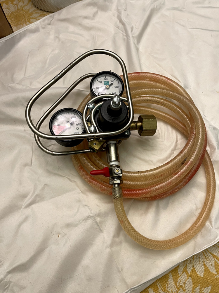 CO2 regulator with safety cage