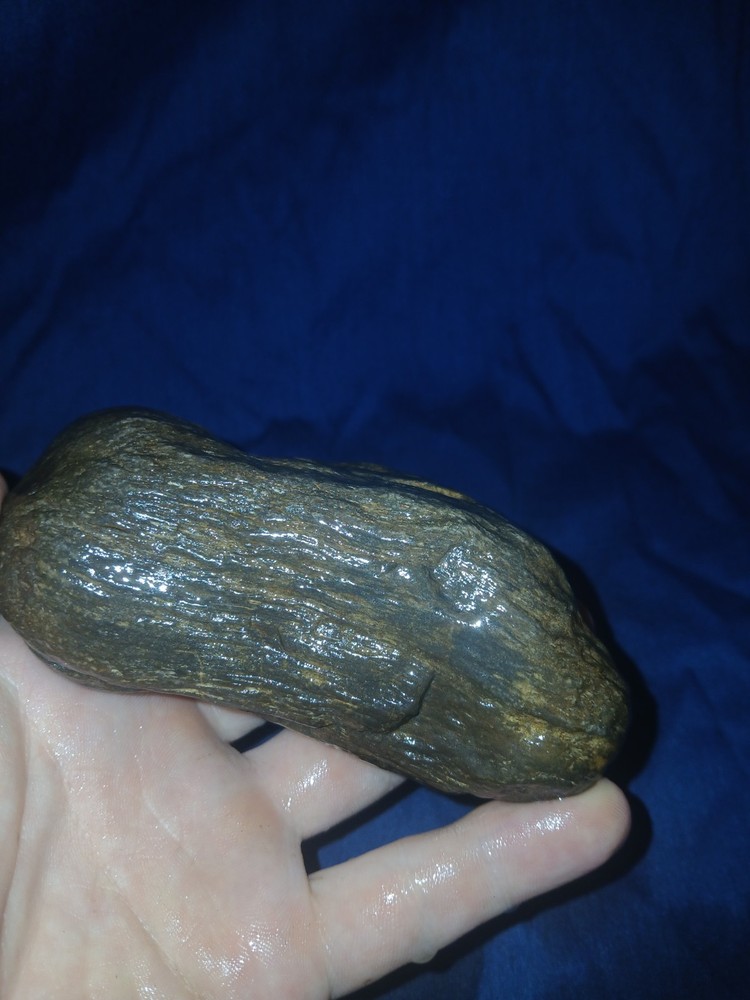 12.2 oz Petrified Wood