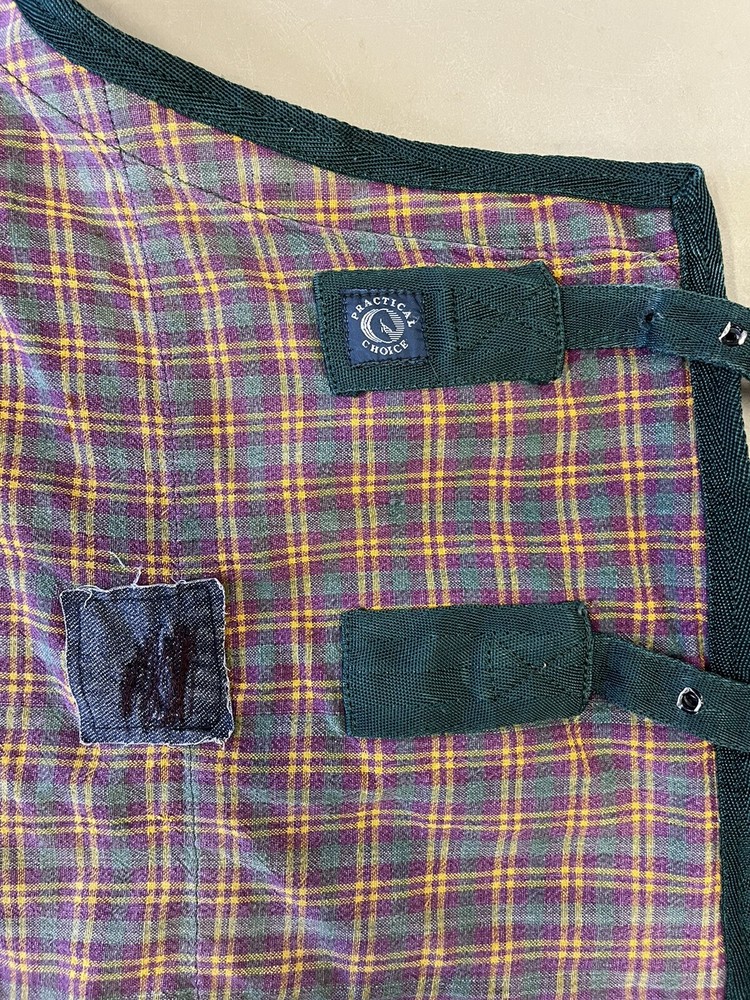 75” Practical Choice Cotton Stable Sheet Horse