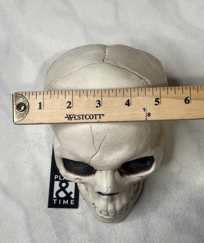Skull With Movable Jaw By Place & Time