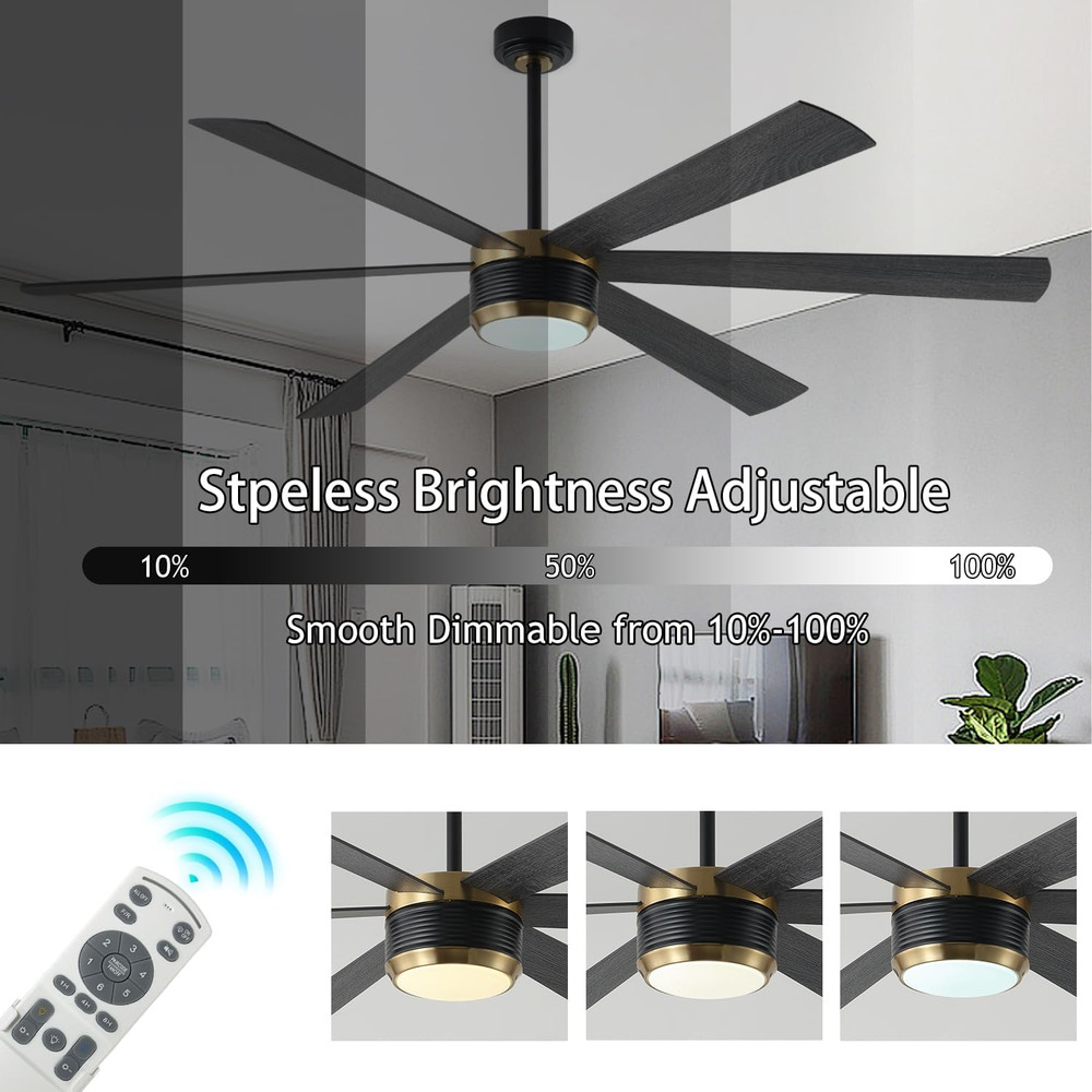 Ceiling Fan with Lights and Remote, 6 Blade App Control Timer Reversible Steples
