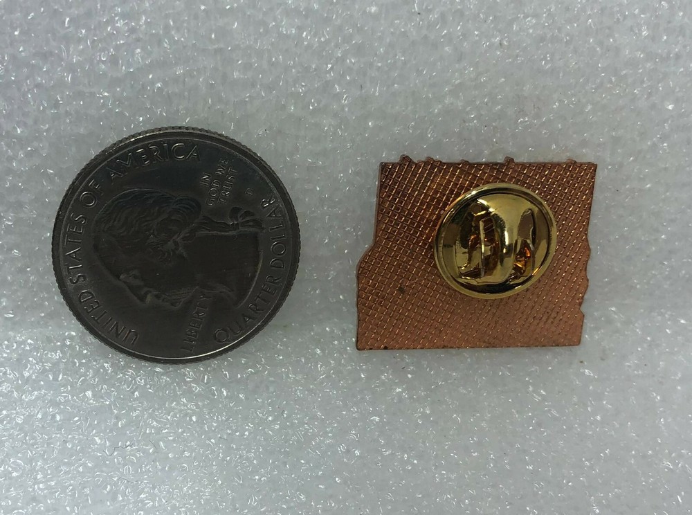 Go For The Gold Pin