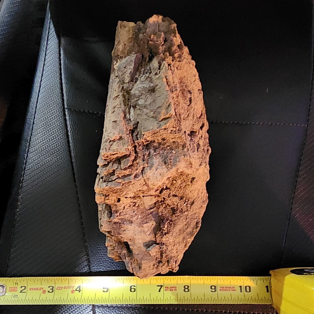 Large Heavy Dinosaur Bone Section - Authentic Fossil - from Hell Creek Formation