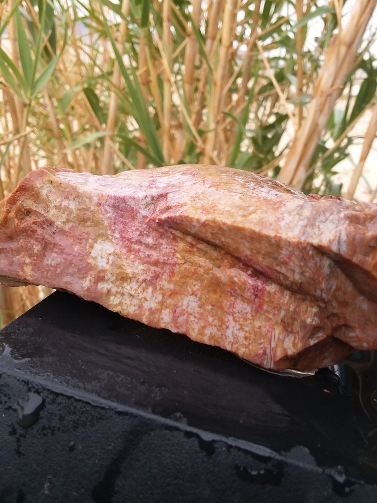 Lapidary