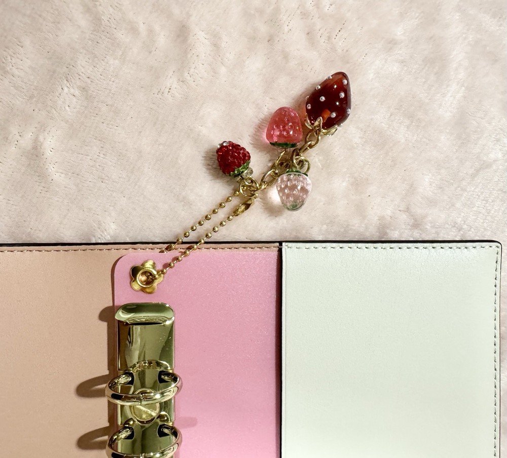 PINK INSERT / GOLD RINGS | COACH Notebook Binder Transition Insert