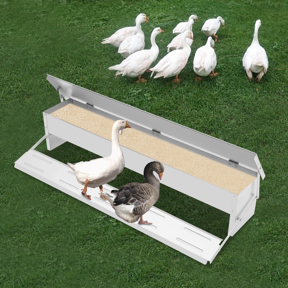 Automatic Chicken Feeder Galvanized Sheet Poultry Feed Protector 22lbs Capacity