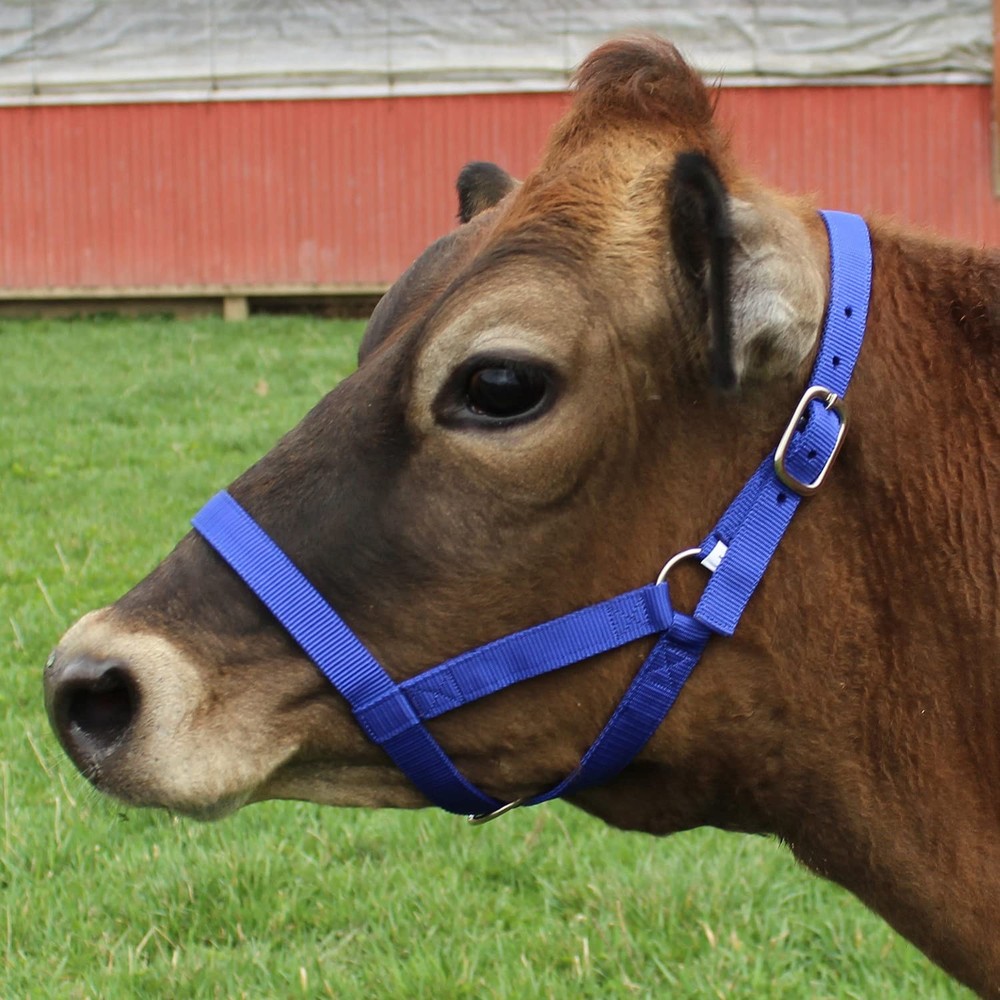 Adjustable Nylon Cattle Halters for Livestock Medium Size, Red