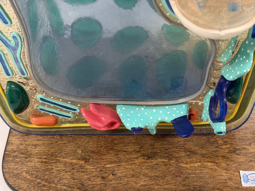 STACO Deluxe Plant Cell Model