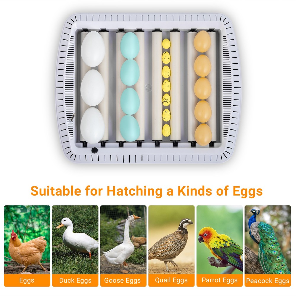 35 Egg Incubator Automatic Egg Turner Poultry Hatcher Digi Temp Humidity Control