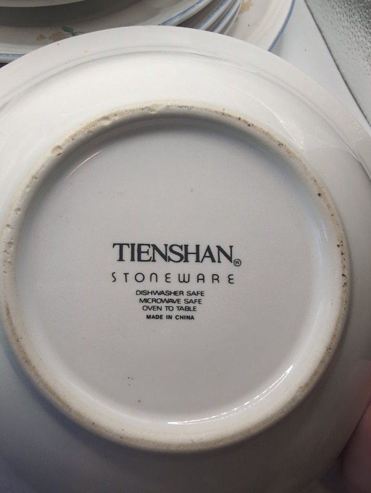Tienshan Stoneware Floral Dinnerware Set