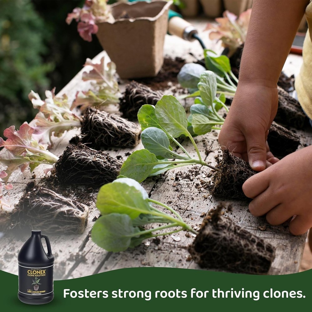 Clone Solution, ProfessionalGrade Nutrient Formula for Seedlings, Cuttings, a...