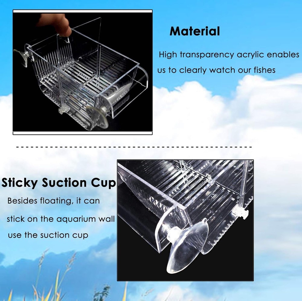 Small Acrylic Fish Breeding Box Suction Cups