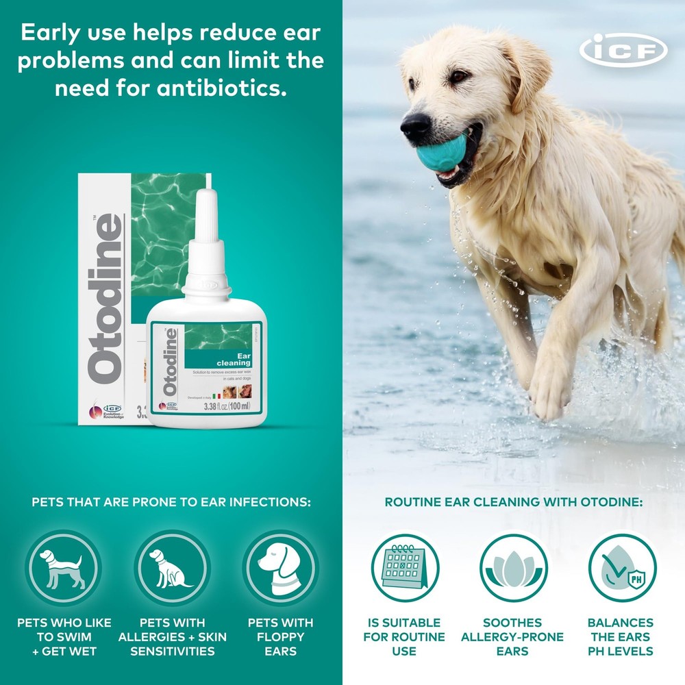 ICF Otodine Dog Ear Cleaner Solution - Veterinary Formula for Itchy Ears