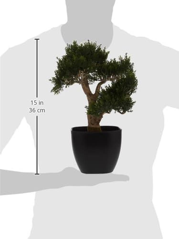 4966 Cedar Bonsai Artificial Tree, 15-Inch, Green