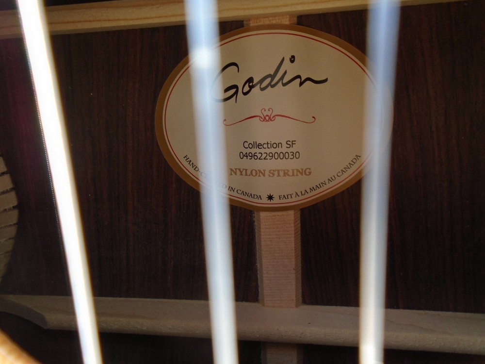 Godin Collection SF Classical Guitar w/hard case