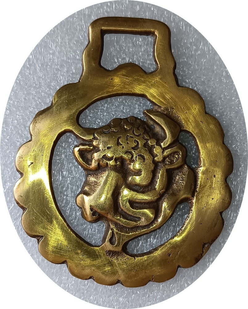 BULL'S HEAD  horse brass      (7712)