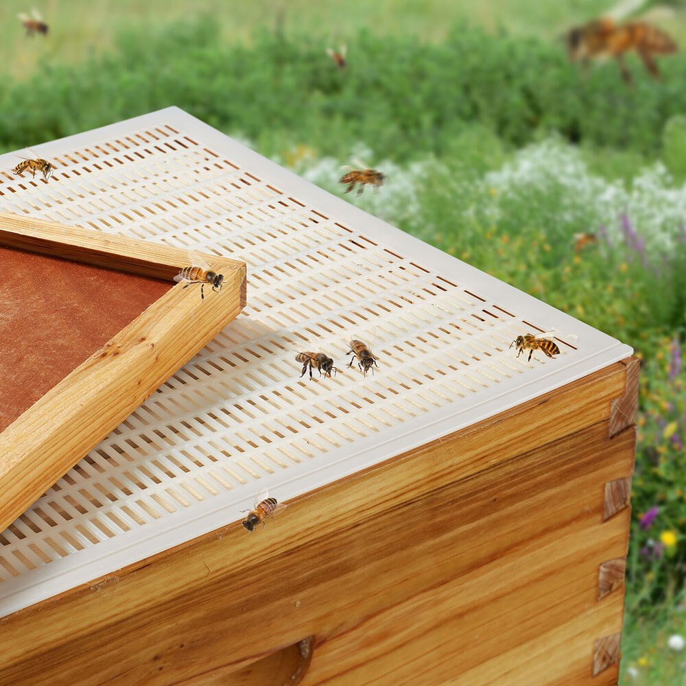 4Pack 10 Frame Plastic Queen Bee Excluder,Trapping Net Grid Beekeeping Tool Kit