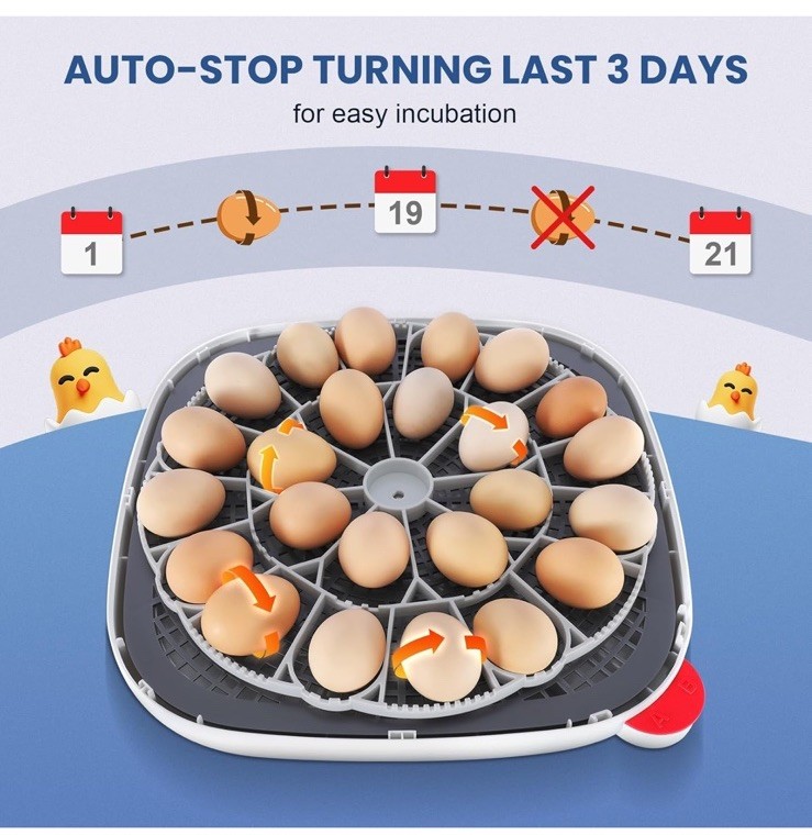 24 Eggs Incubators for Chicken Eggs w/4 Modes, 360° View, Automatic Egg Turning!