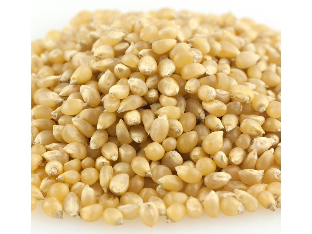 Medium White Bulk Popcorn 3 Pounds Popcorn Kernels Free Shipping
