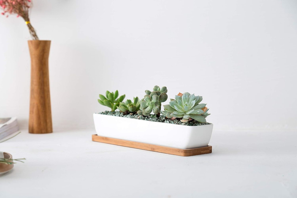 White Rectangular Long Succulent Planter Pot,11X2.16X1.75Inch Modern Minimalist