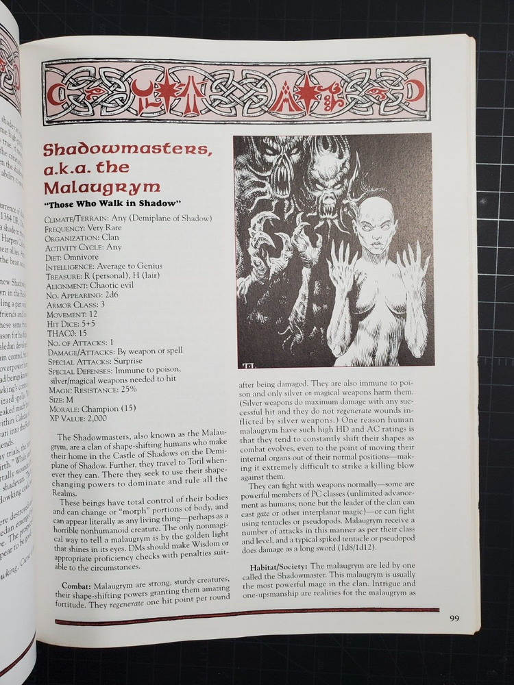 Advanced Dungeons & Dragons Villains' Lorebook Forgotten Realms Original