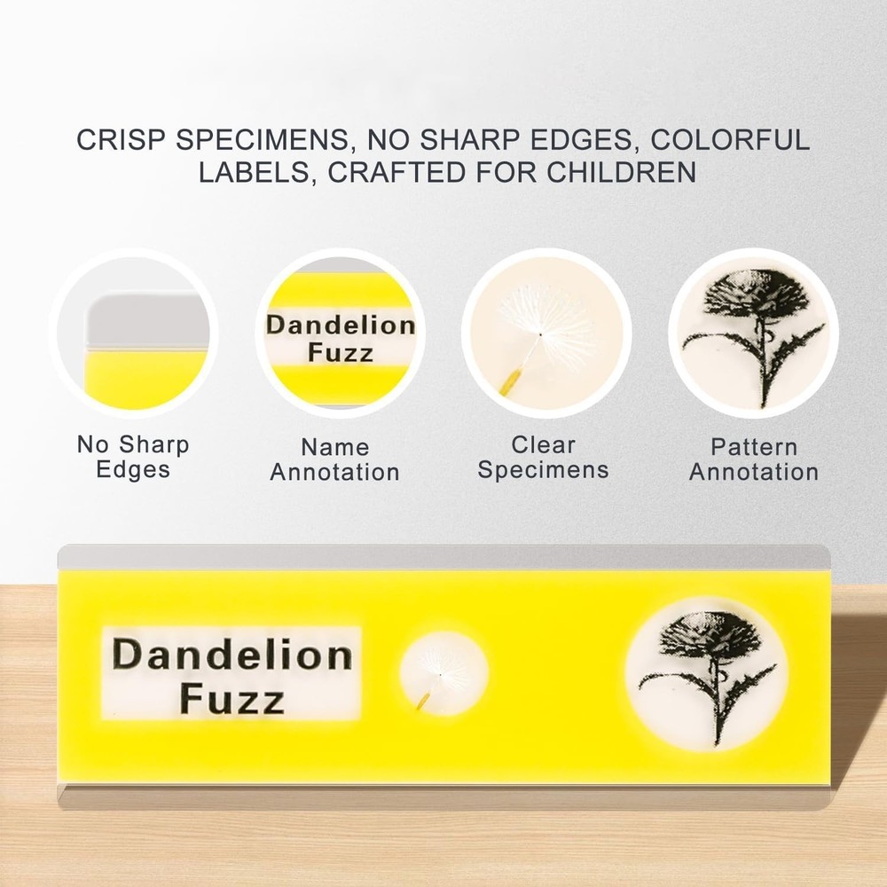 48Pcs Prepared Microscope Slides Set for Kids - Educational Specimens Collection