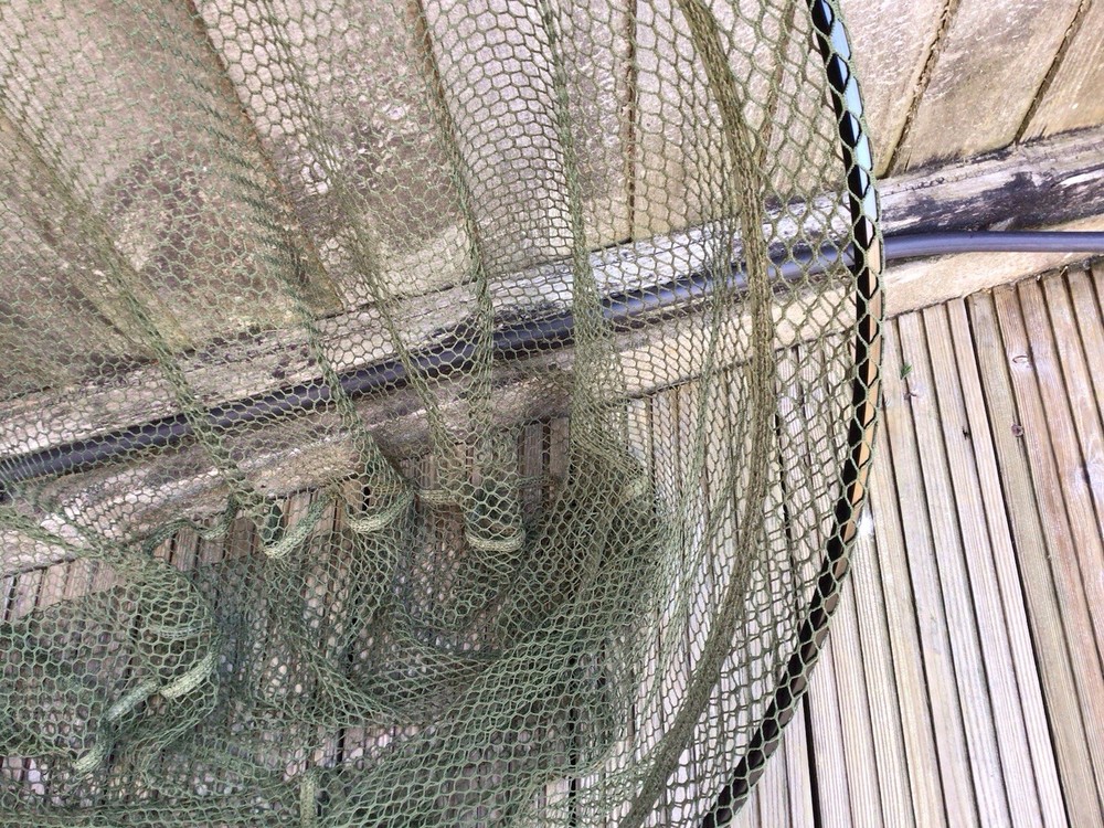 Discovery Rvs Folding Specimen (Net Only) & Bag