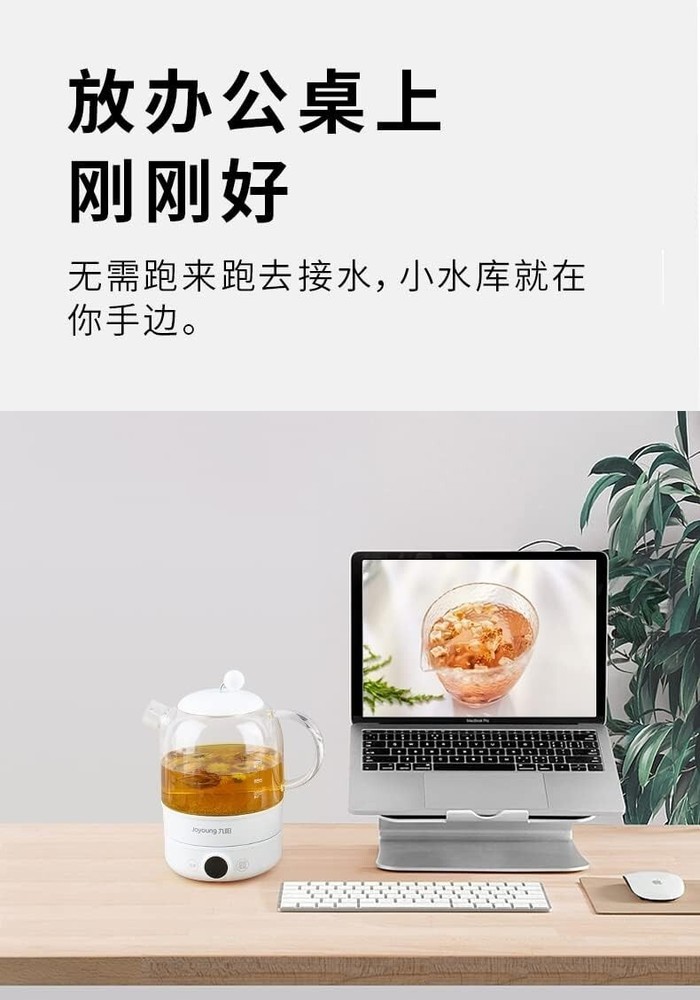 JOYONG Multi-Function Wellness Kettle - Automatic Herbal - Soup -Poridge cooker