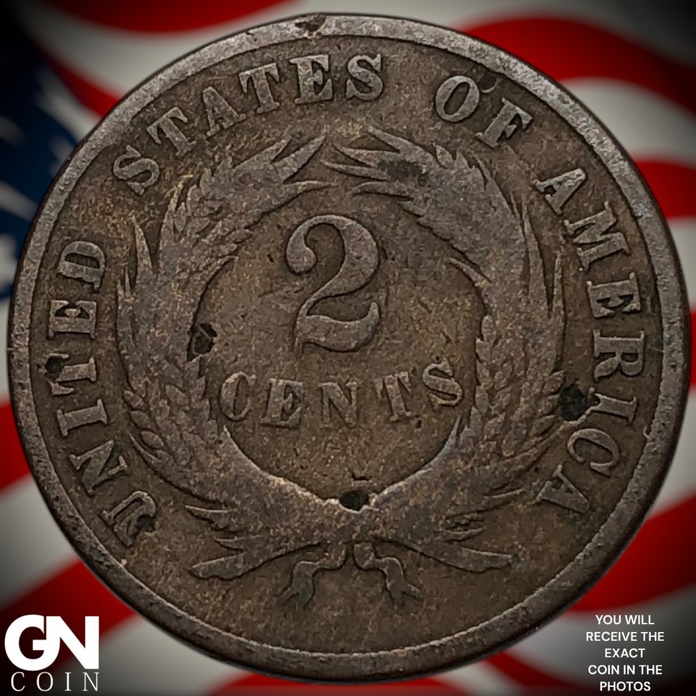 1870 2 Cent Piece Z5551