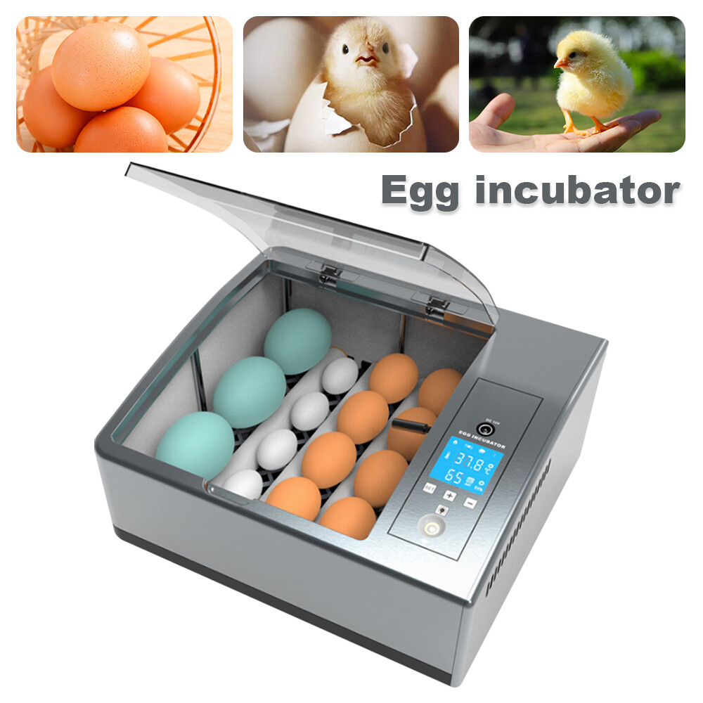 Double-power 16PCS Eggs Automatic Smart Incubator Hatcher w/Temp Control Turning