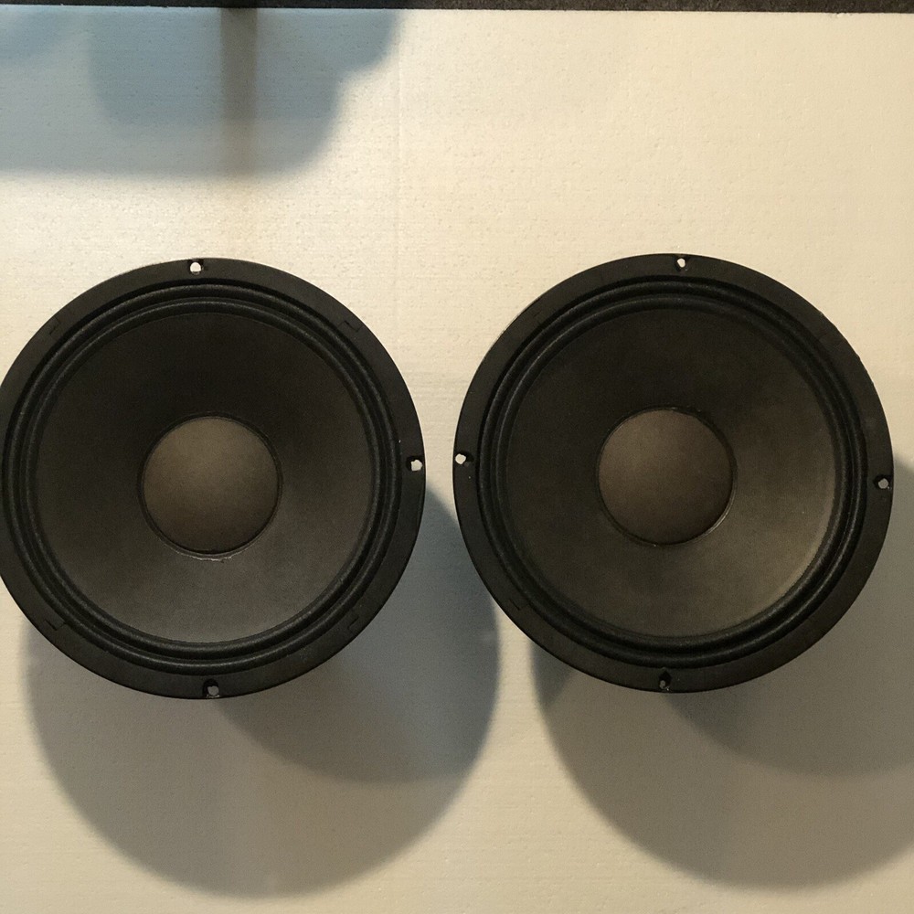 Replacement Generic/unbranded 10" Woofer Speakers (pair)