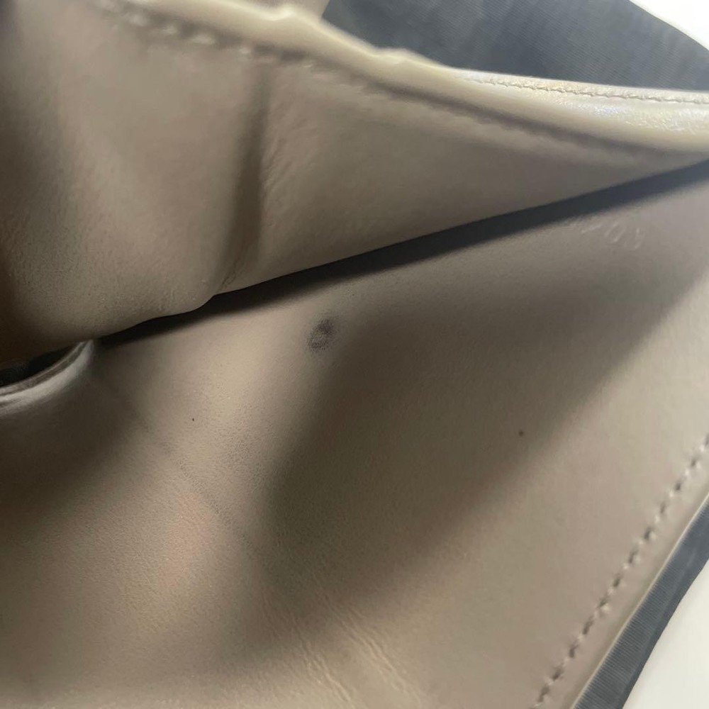 CELINE Small Flap Wallet Triomphe From Japan