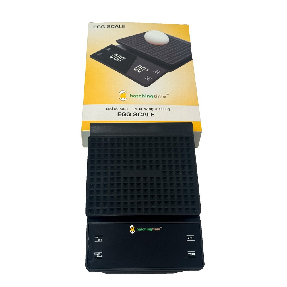 Digital Egg & Kitchen Scale - 6.6 lb Capacity